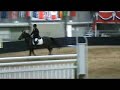 Wodonga Nov 2010 Sprite in 1.25m one round.wmv