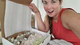 Unboxing A Surprise For You