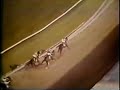 preakness stakes