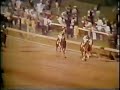 preakness stakes