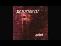 BIG ELECTRIC CAT - Eyelash