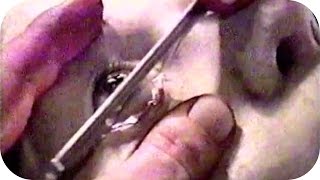 American Guinea Pig: Bouquet of Guts and Gore - video review