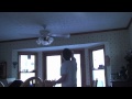 fan