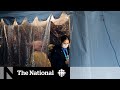 Canada’s top doctor says coming week ‘crucial’ to assessing...