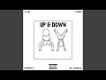 Up & Down (feat. J. Marsh, Ms. Automatic & Hitmaker Q)