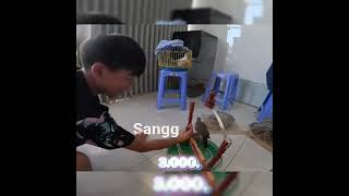 Đại Gia Ngầm Của Team Anh Ba Phải