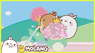 Molang - The side car | Full Molang episodes - Cartoon for kids
