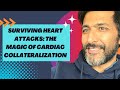Surviving heart attacks: The Magic of Cardiac Collateralization