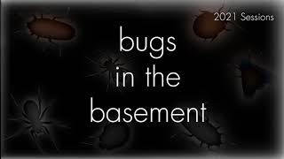 Bugs In The Basement - Oligonychus Ilicis aka The Southern Red Mite
