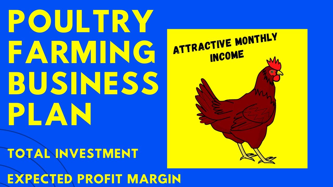 Poultry Farming Business | Investment & Expected Income | Business Plans and Ideas