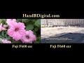 HandBDigital.com - (Camera Store NYC) Fuji F600 vs Fuji F660 Photo Test Review