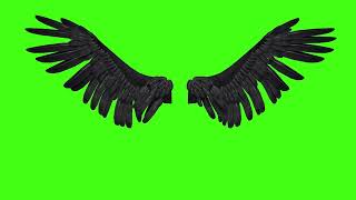 футаж крылья анимированные - скачать футаж для монтажа на зелёном фоне
