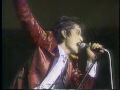 TH eROCKERS(ザ・ロッカーズ) LIVE at 久保講堂 1981/6/27