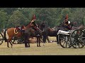 Horse injury cancels Queen's 41-gun salute