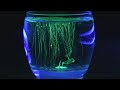 fluorescent