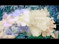 Dandelion Video preview