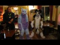 furry