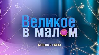 Великое В Малом. Музыка И Математика