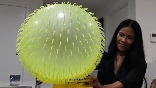 Green Puffer Ball My First Time Ever