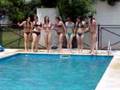 todaas juntitas