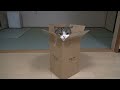 maru