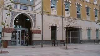 Máster en Danza y Artes del Movimiento. UCAM