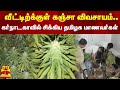 வீட்டிற்க்குள் கஞ்சா விவசாயம்..கர்நாடகாவில் சிக்கிய தமிழக மாணவர்கள் | Drugs | Karnataka | Students
