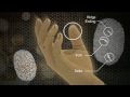 Biometric