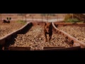 Online Film Red Dog (2011) Watch