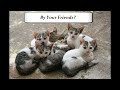 Digital Footprints - Your New First Impression