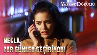 Necla Çocuk Parkında Ne Yapıyor - Yaprak Dökümü 174. Bölüm Fi̇nal