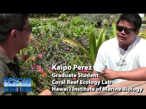 marine biology paid internships