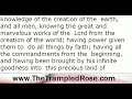 knowledge of the creation of the  earth, and all men, knowing the great and marvelous works of the  Lord from the creation of the world; having power given them to  do all things by faith; having all the comma