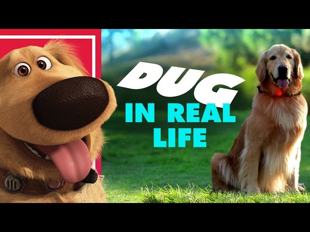 Pixar’s Dug the Talking Dog In Real Life -