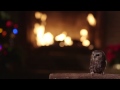 Hootsuite Yule Log Holiday Owl