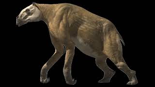 Chalicotherium Walking With Beasts