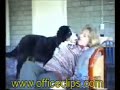 KÖPEK kadının memesini ısırır.