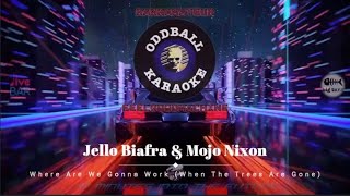 Watch Jello Biafra Where Are We Gonna Work video