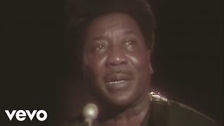 Watch Muddy Waters Hoochie Coochie Man video