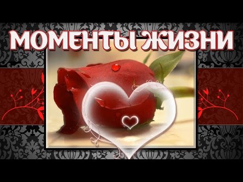 Вязание с асей вертен Вязание с асей вертен