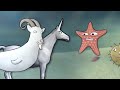 unicorn