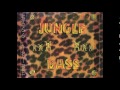 Bass Tribe - Bass in my hed