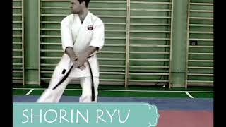 Naihanchi/Tekki Shodan Comparison
