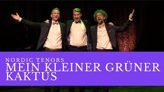 Nordic Tenors // Mein Kleiner Grüner Kaktus
