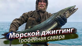 Рыбалка в ЗАПРЕТНОМ месте. Трофейная мелкопятнистая макрель. Морской джиг. 2019/01