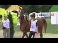 endurance