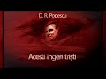 Acesti ingeri tristi (1969) - Dumitru Radu Popescu