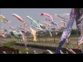 Carp Streamers on the Kokubun River 「国分川の鯉のぼり」