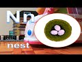 A B C D - A For Apple, B for Ball - Alphabet Songs For Children - Phonics Song