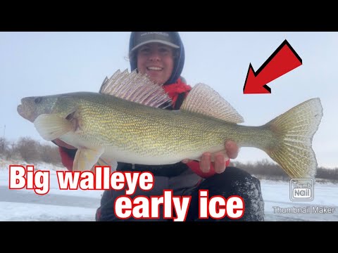 Ice Fishing For Pike And Walleye On Early Ice